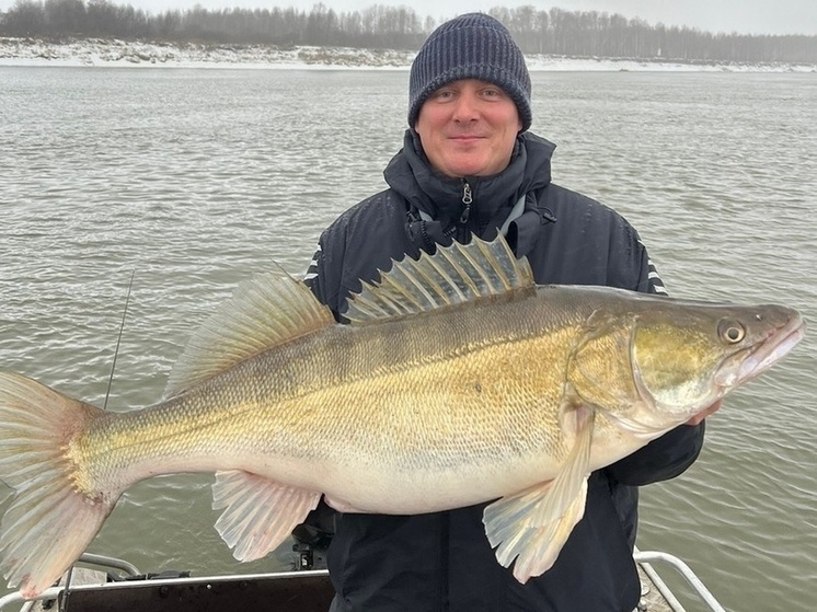 Рыбак из Новосибирска выловил в Оби царя судаков