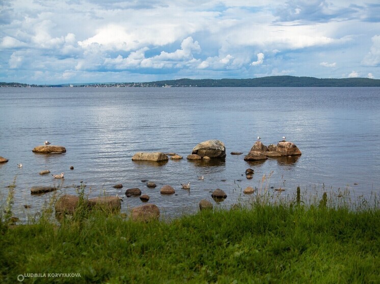 Жителя Кеми обязали демонтировать самовольно построенный пирс