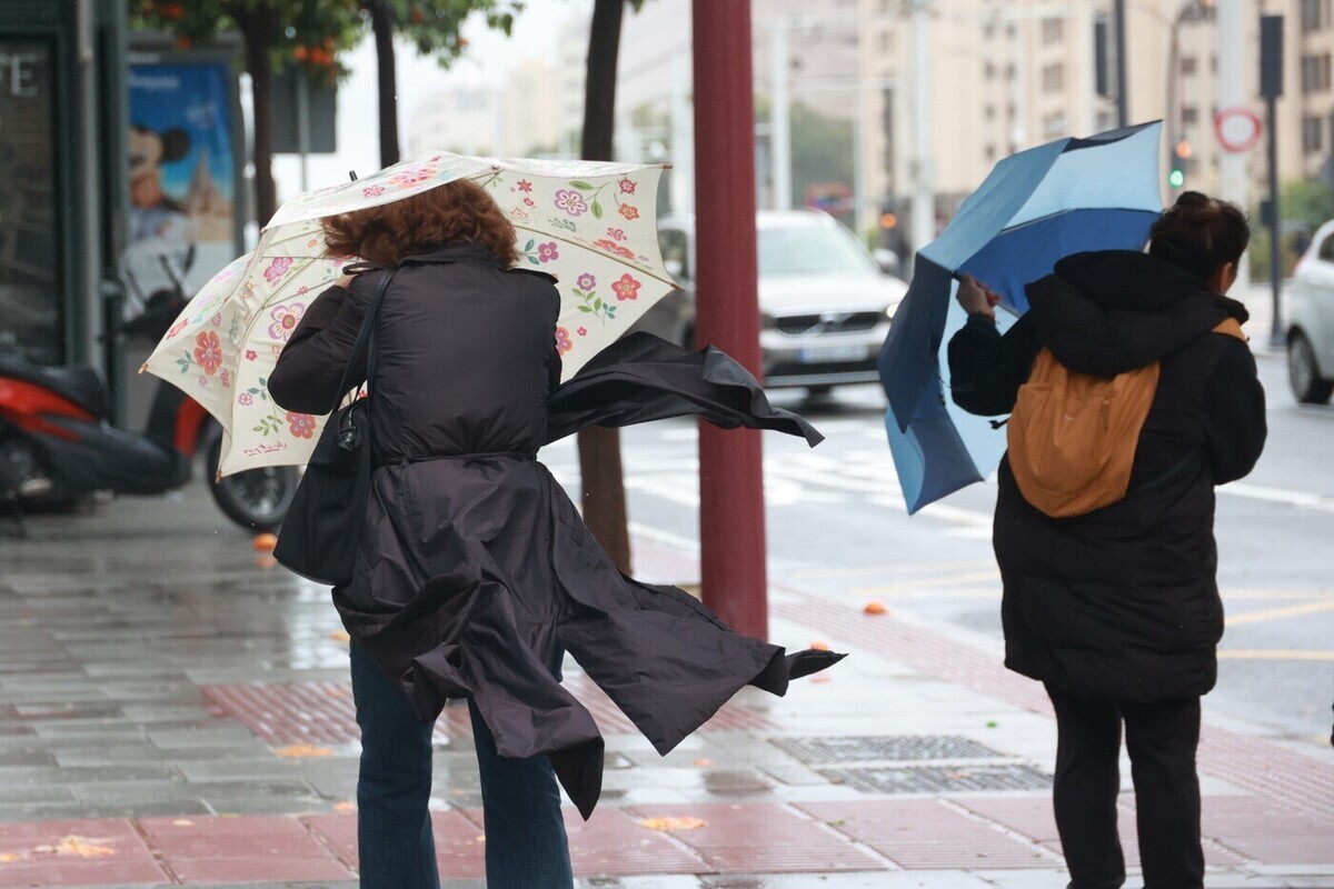 Тишковец сообщил о штормовом ветре в Москве