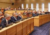 Депутаты Законодательного собрания Иркутской области на 29-й сессии 12 ноября приняли ряд важных социальных законов – в первом и втором чтениях