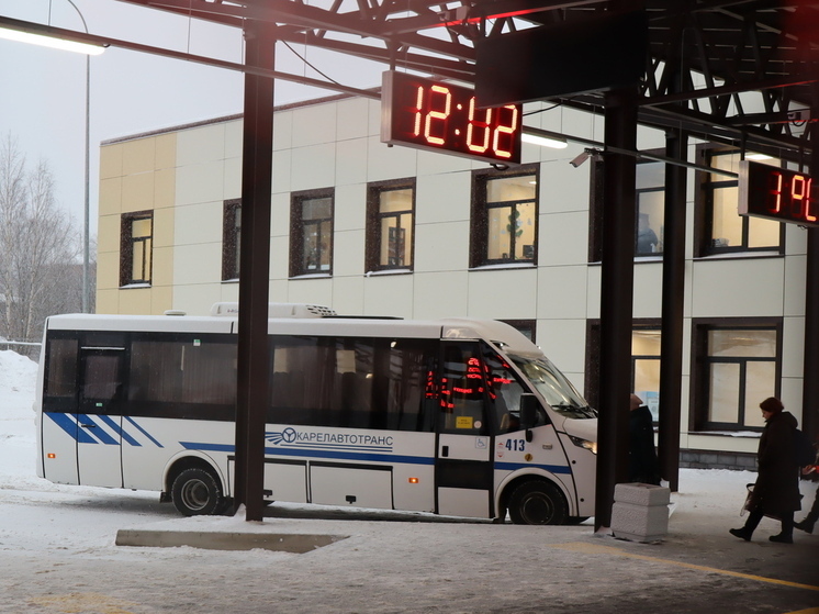 Пенсионерка из Петрозаводска выиграла судебный спор с «Карелавтотрансом»