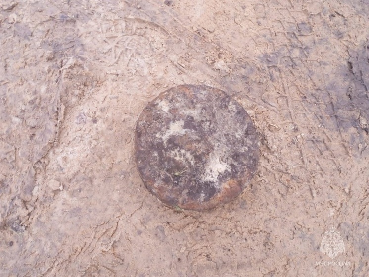 Спасатели под Брянском обезвредили мину времен ВОВ