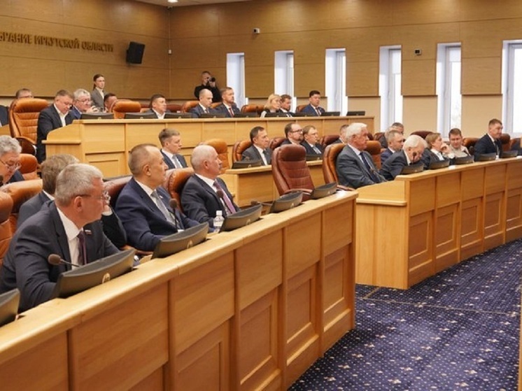 Депутаты Законодательного собрания Иркутской области на 29-й сессии 12 ноября приняли ряд важных социальных законов – в первом и втором чтениях