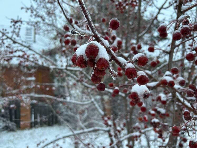 Волна холода до -19 градусов обрушится на Алтайский край на выходных