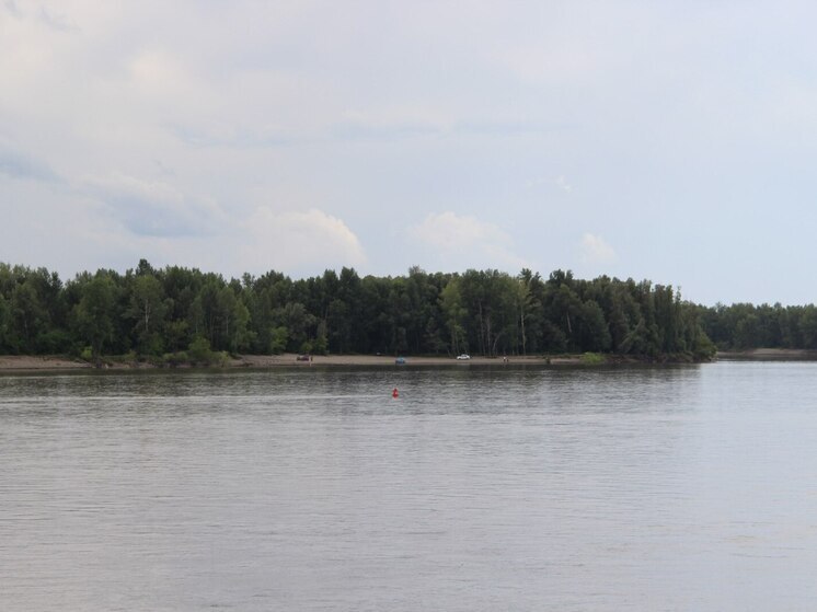 Водителя моторной лодки осудят за наезд на плавающего мужчину в Барнауле