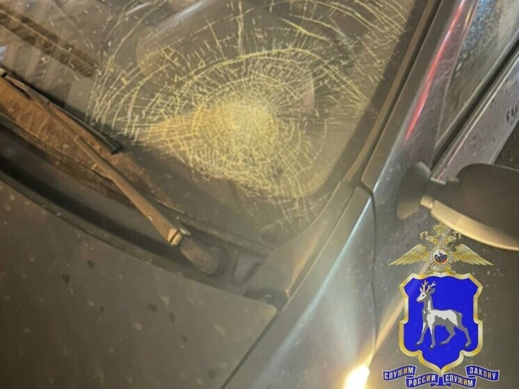 Renault Logan сбил 50-летнего мужчину в Автозаводском районе Тольятти