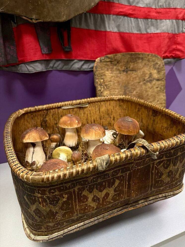 Краеведческий музей Нижневартовска добился успеха с проектом о ваховской бересте