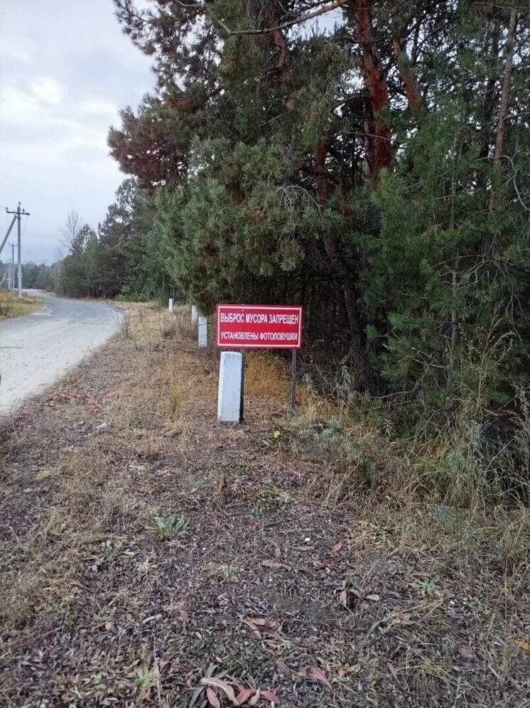 В Бессоновском районе ликвидирована несанкционированная свалка силами собственника земельного участка