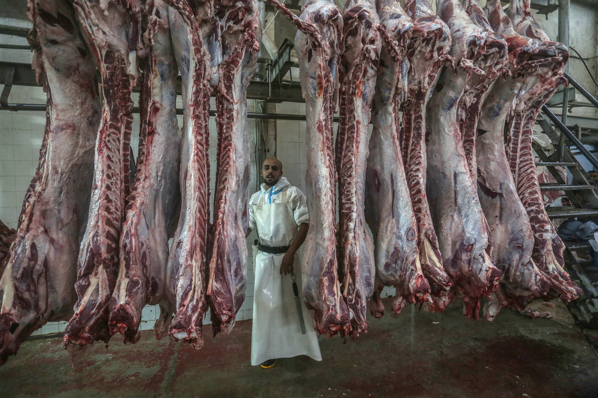 Американский пилот умер от аллергии на мясо, вызванной укусом клеща