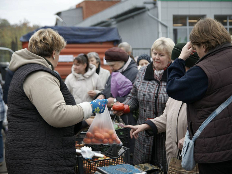 В Курске пройдут межрегиональные ярмарки в ноябре и декабре