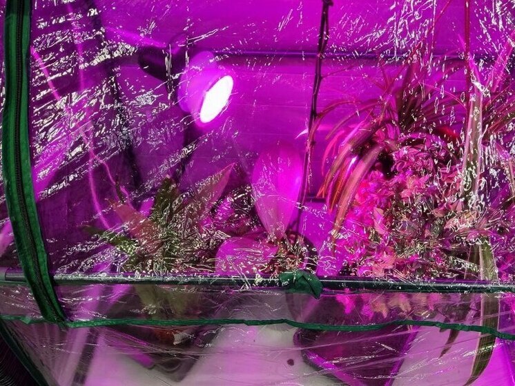 У жителя Гурьевского района нашли крупную партию наркотиков