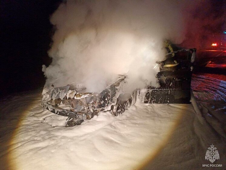 В Тихвинском районе на трассе сгорела легковушка