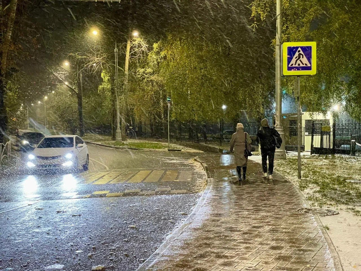 Рязанцев предупредили о мокром снеге и температурных качелях 15 и 16 ноября