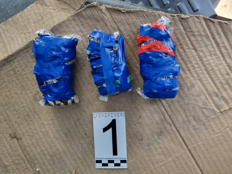 В Туле под суд пойдёт закладчица, которая работала в составе ОПГ