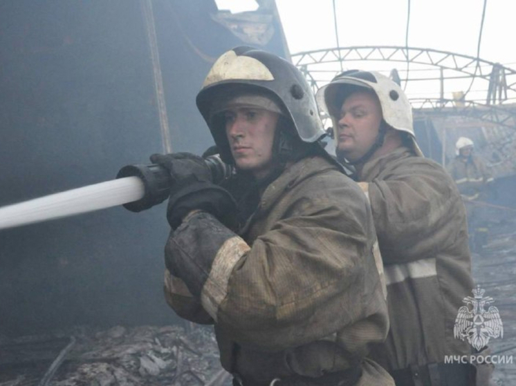 В Ростовской области за 13 ноября потушили 13 пожаров