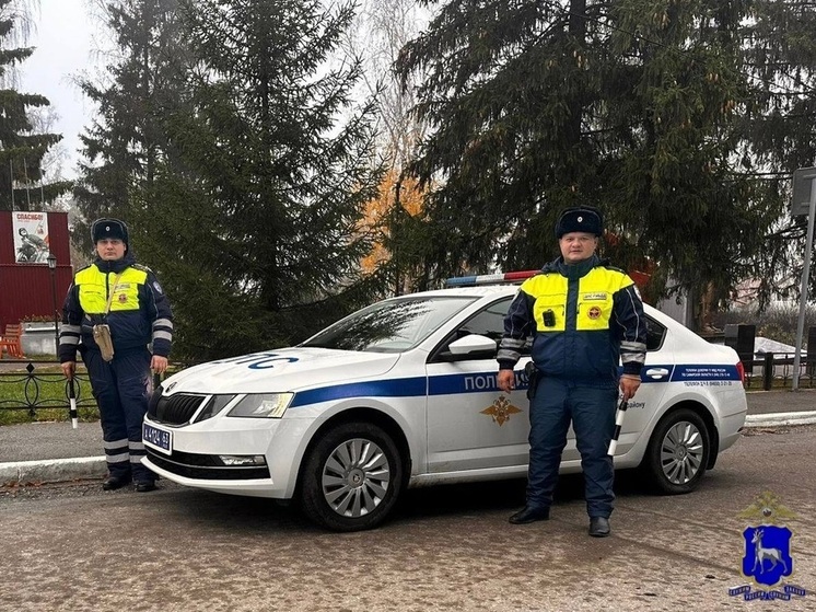 Иностранец пытался подкупить полицейского в Кошкинском районе Самарской области
