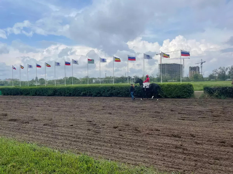 Конники Дона попросили отсрочить закрытие единственного ипподрома в регионе