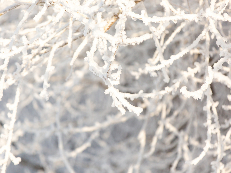 Гидрометцентр РФ: предстоящая зима будет холоднее прелыдущей