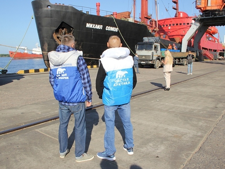 В России подвели итоги пятилетней работы общественного проекта «Чистая Арктика», в котором с момента его запуска участвует Архангельская область