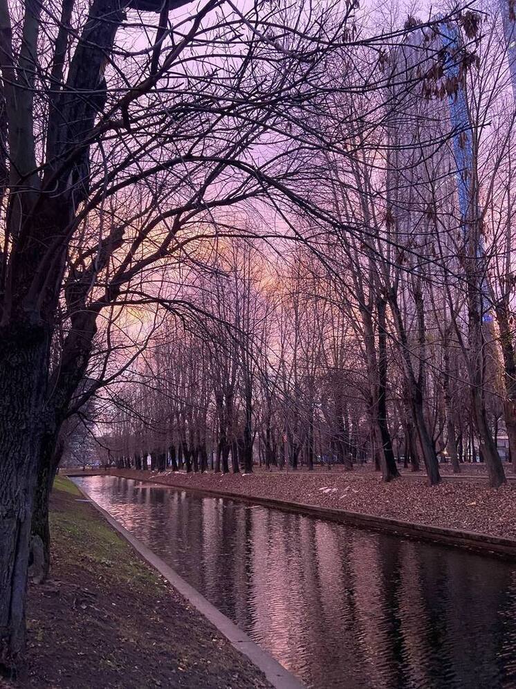 Метеоролог Позднякова: в розово-фиолетовом восходе над Москвой нет аномалии