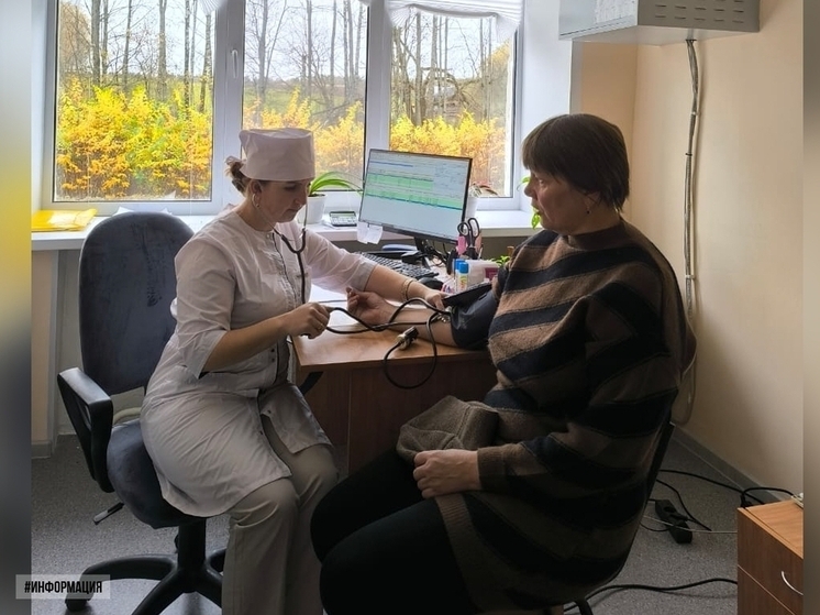 В брянском селе Новый Дроков модернизировали фельдшерско-акушерский пункт