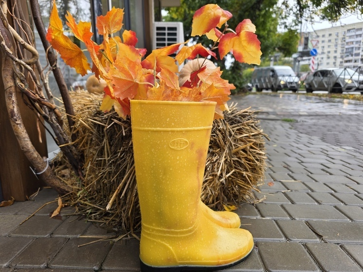 На Кубани 14 ноября ожидается похолодание, дожди и температура до +12°C