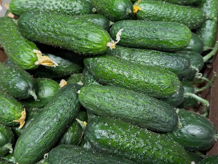 Осенние ярмарки в Ставрополе: где купить свежие продукты по выгодным ценам