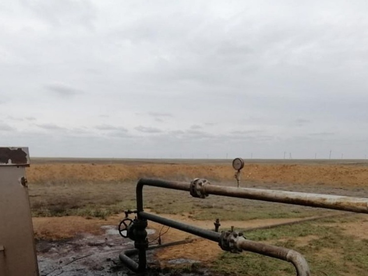 Нефтяная компания в Калмыкии нанесла ущерб более чем на 3 миллиона рублей