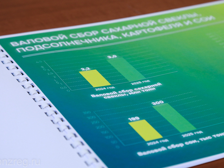 Пензенская область устанавливает рекорды урожайности в рамках уборочной кампании