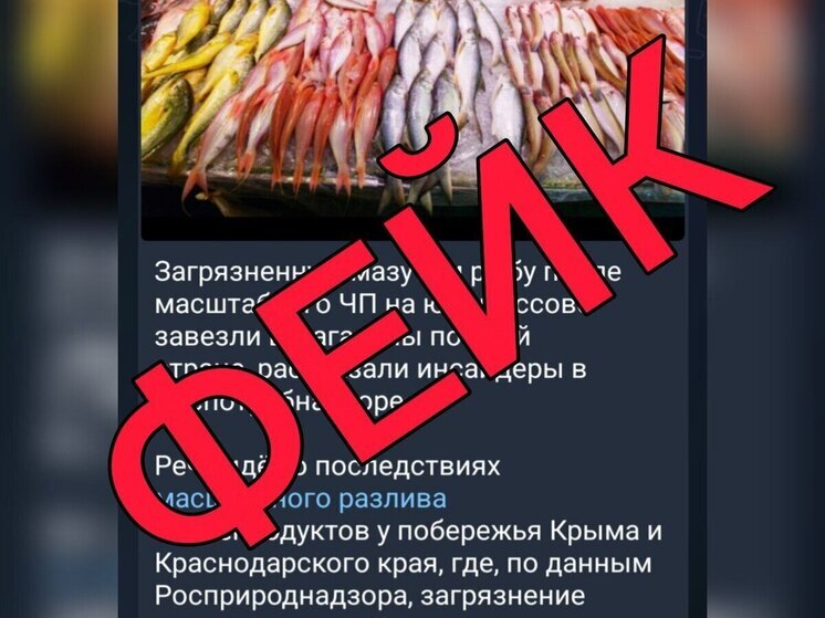 В Оперштабе Кубани опровергли фейк о загрязненной мазутом рыбе в магазинах страны