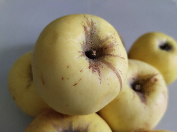 В воскресенье в Старом Осколе пройдет фермерская ярмарка