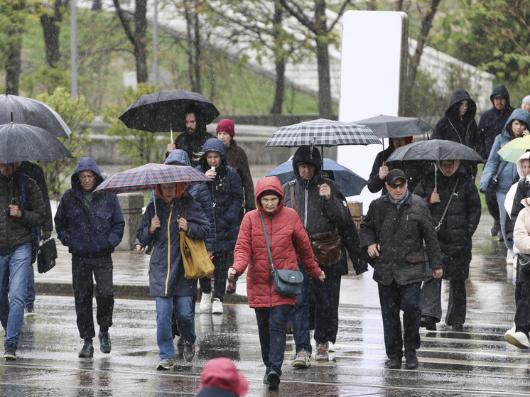 Синоптик Тишковец: в субботу москвичей ждут обильные осадки в виде снега