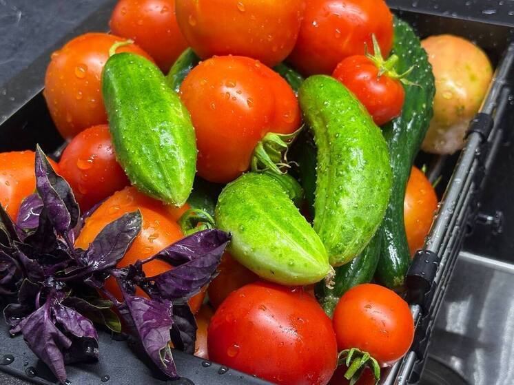 Пензенским медикам рассказали о принципах здорового питания для сохранения качества жизни