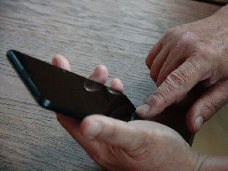 В Калининградской области опровергли слухи о «диверсантах»