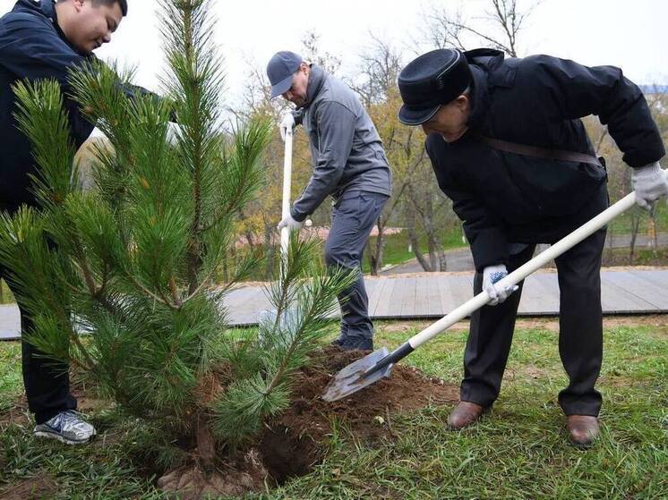 В Калмыкии озеленили столичную аллею имени героя