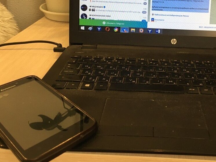 В поисках работы по интернету студентка из Воронежа потеряла 700 тысяч рублей