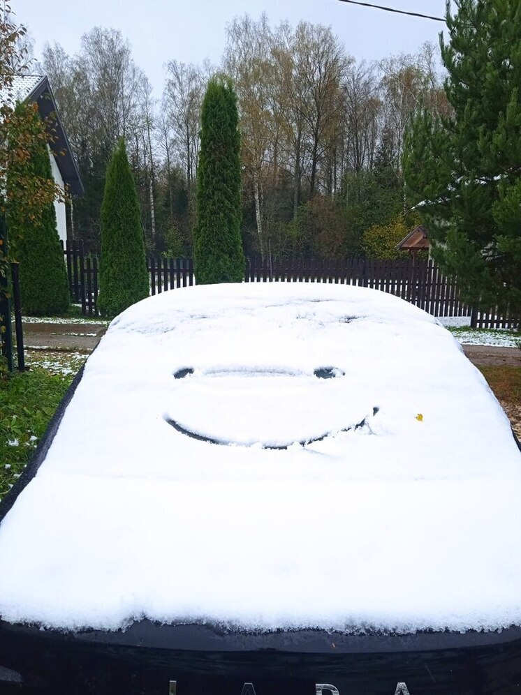 Первый снег выпал в Петербурге на месяц позднее обычного