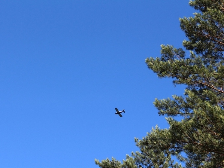 Температура воздуха в октябре на Сахалине оказалась ниже нормы