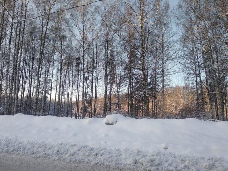 Ночью в Мурманске выпало 28% месячной нормы снега