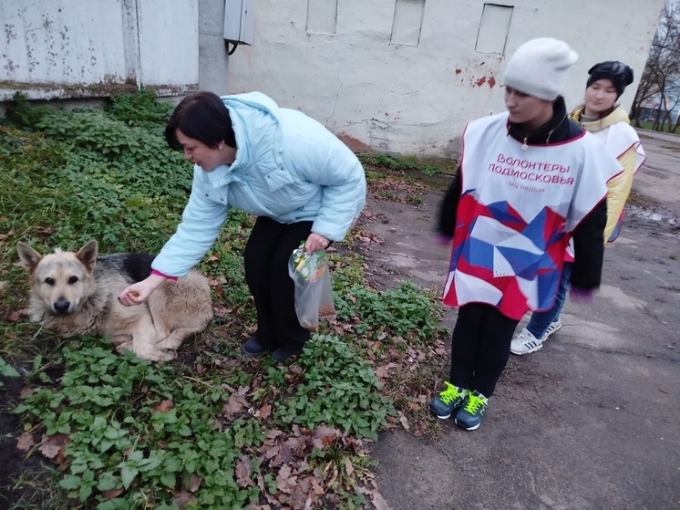 День доброты отметили в Серпухове