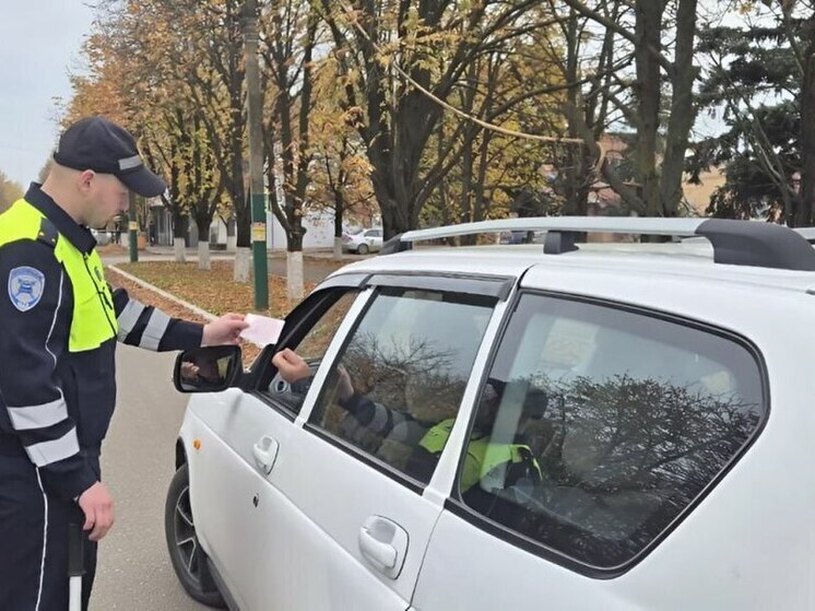 В Чаплынском округе задержали водителя без прав