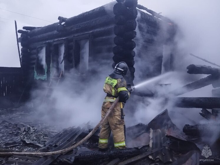 В частном хозяйстве Параньгинского района произошел крупный пожар