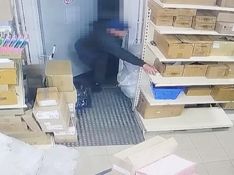 Полиция Мурманска задержала магазинного воришку