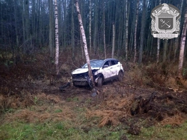 Водитель на трассе «Кола» не справился с управлением и улетел в лес