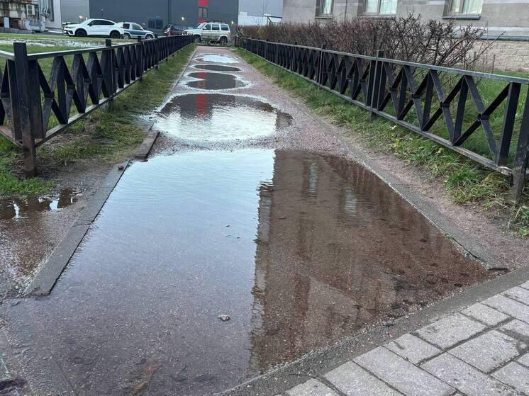 Во дворах Кушелевской дороги образовались «озера» возле детской площадки