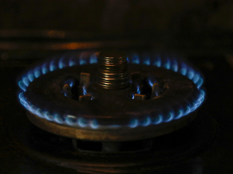 В Туле 130 домов остаются без надлежащего обслуживания газового оборудования