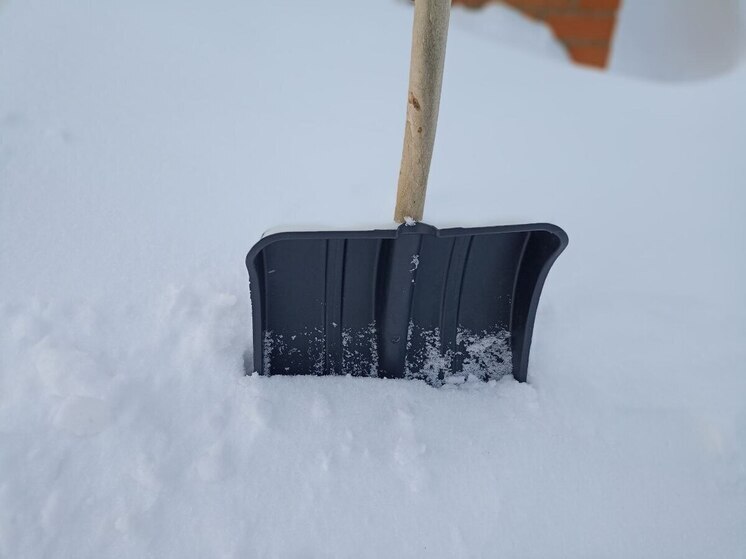 Петербуржцы смогут зарабатывать на снегопаде до 115 тысяч