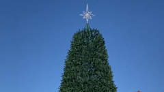 В Омской крепости поставили главную ёлку