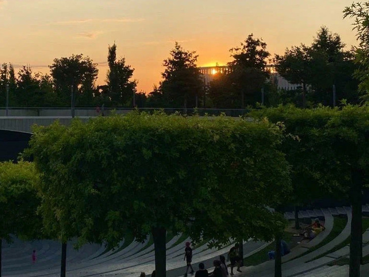 В краснодарской школе №111 высадили «Аллею памяти» из 50 берез