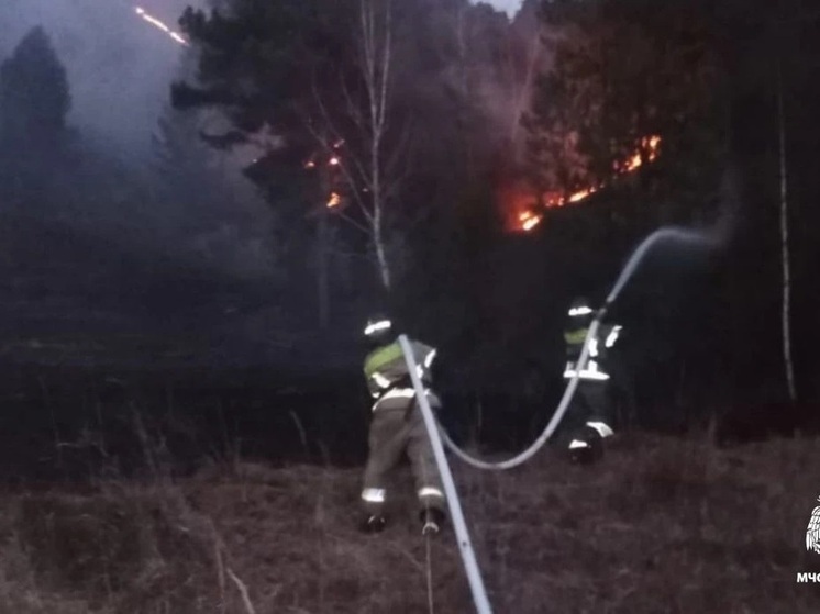 На Алтае ликвидировали крупный ландшафтный пожар в урочище Узюк
